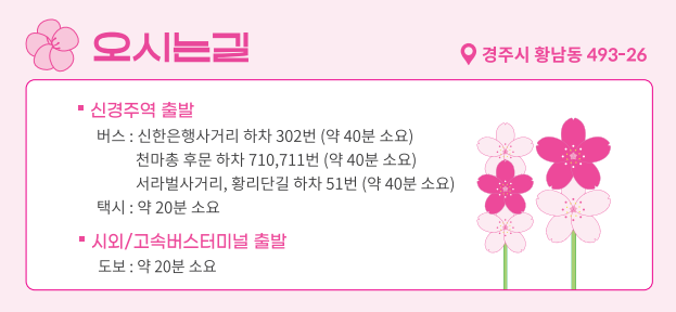 경주 대릉원돌담길 벚꽃 축제