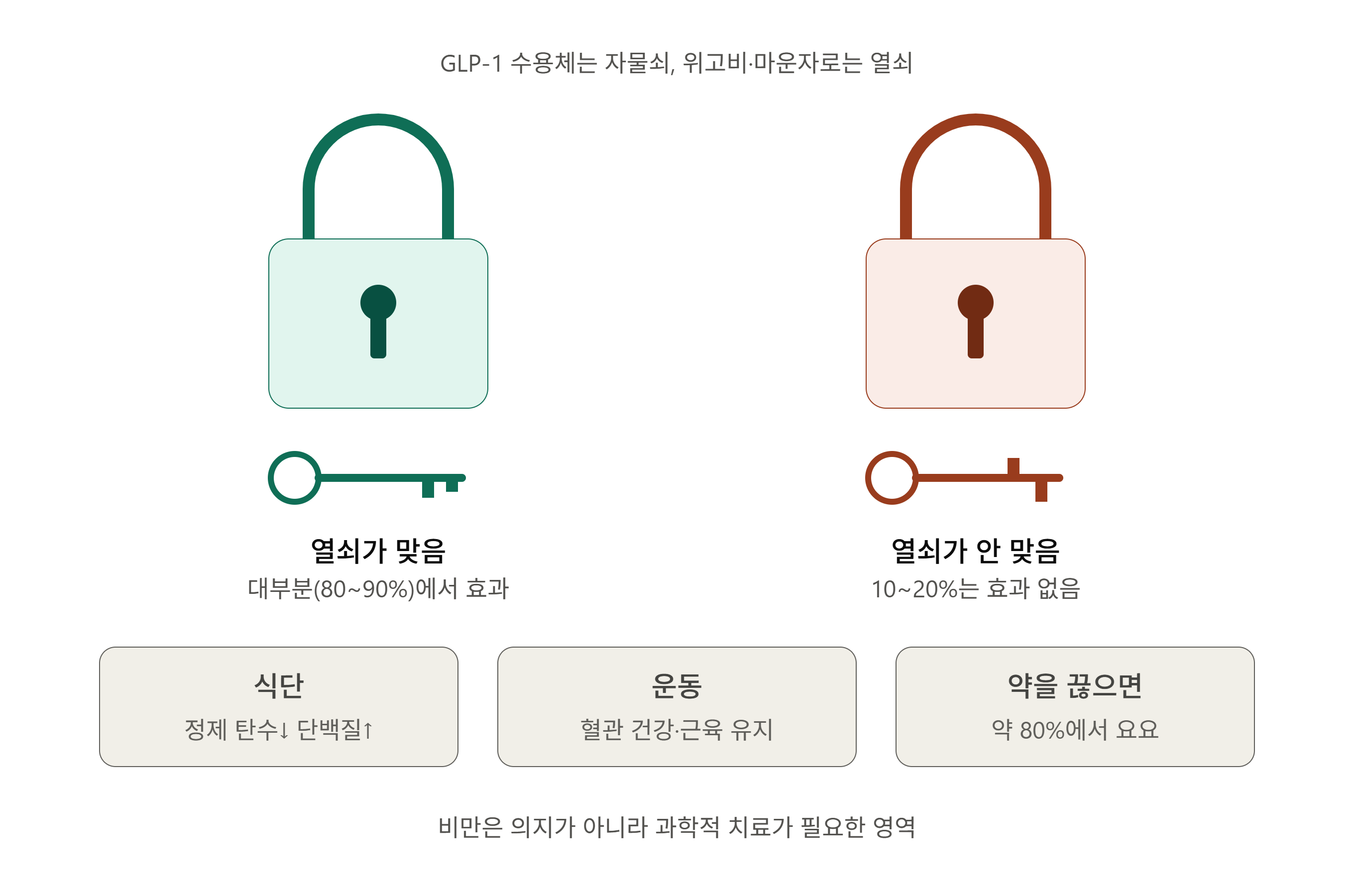 위고비&middot;마운자로 장기투여 (GLP-1 작용, 요요 방지, 비만 치료)
