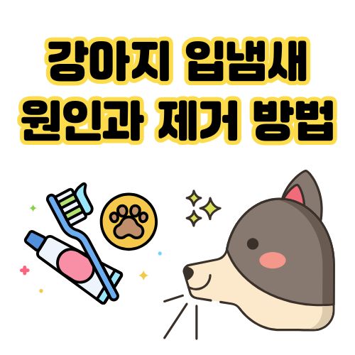 강아지 입냄새 원인과 제거 방법