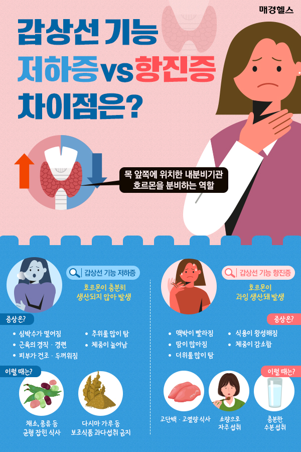 갑상선 기능 저하증 vs 항진증 차이점 이해