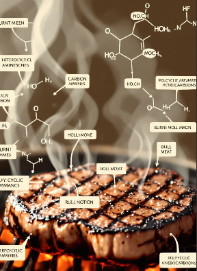 탄음식 섭취와 암 발병, 안전하게 먹는 방법