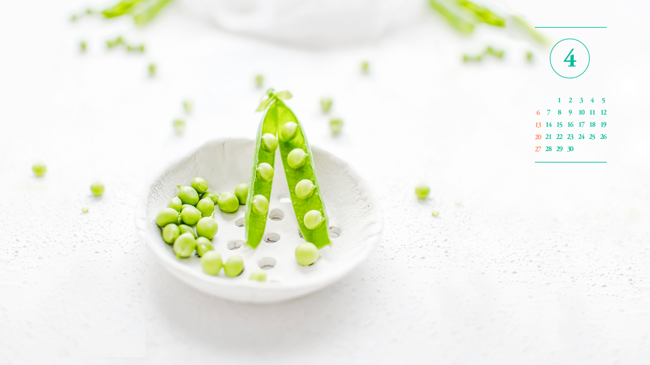 08 완두콩 A - 2025년4월 노트북배경화면