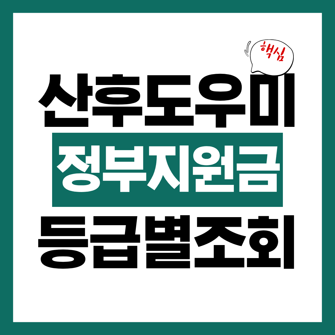산후도우미 정부지원금 등급별 본인부담금 알아보고 바로 신청하기