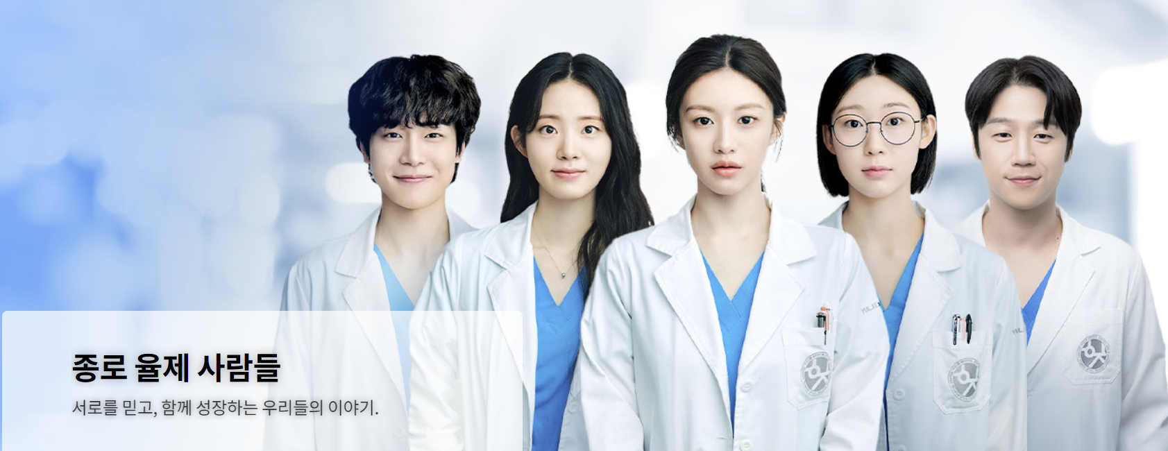 슬기로울 전공의생활 : 의사 로드맵 정리