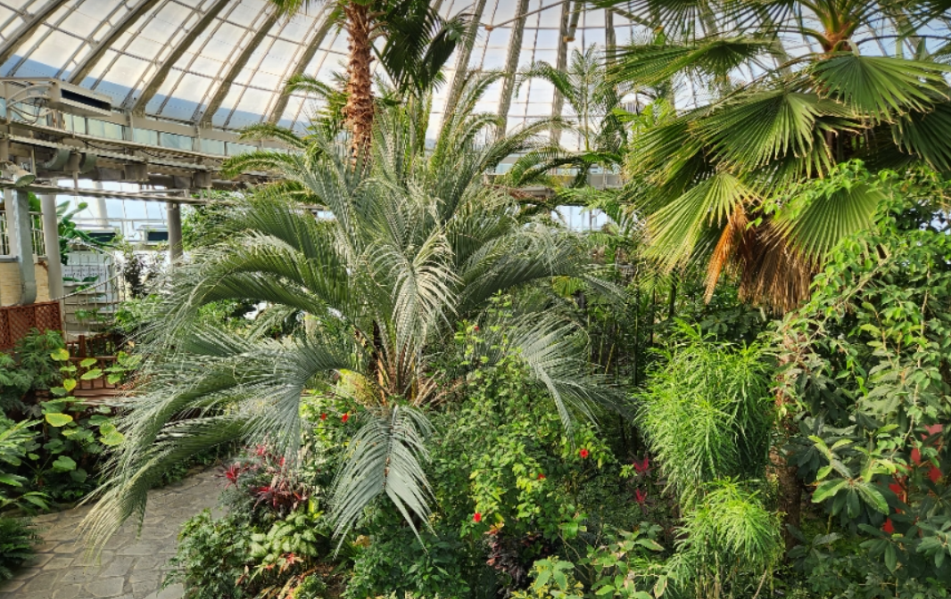 거창 창포원 열대식물원