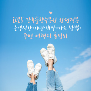 2025 강릉솔향수목원 완전정복
