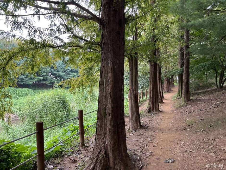 고양 가볼만한곳 베스트 10