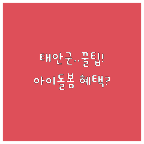 태안군 2025 아이돌봄 본인부담금 ..