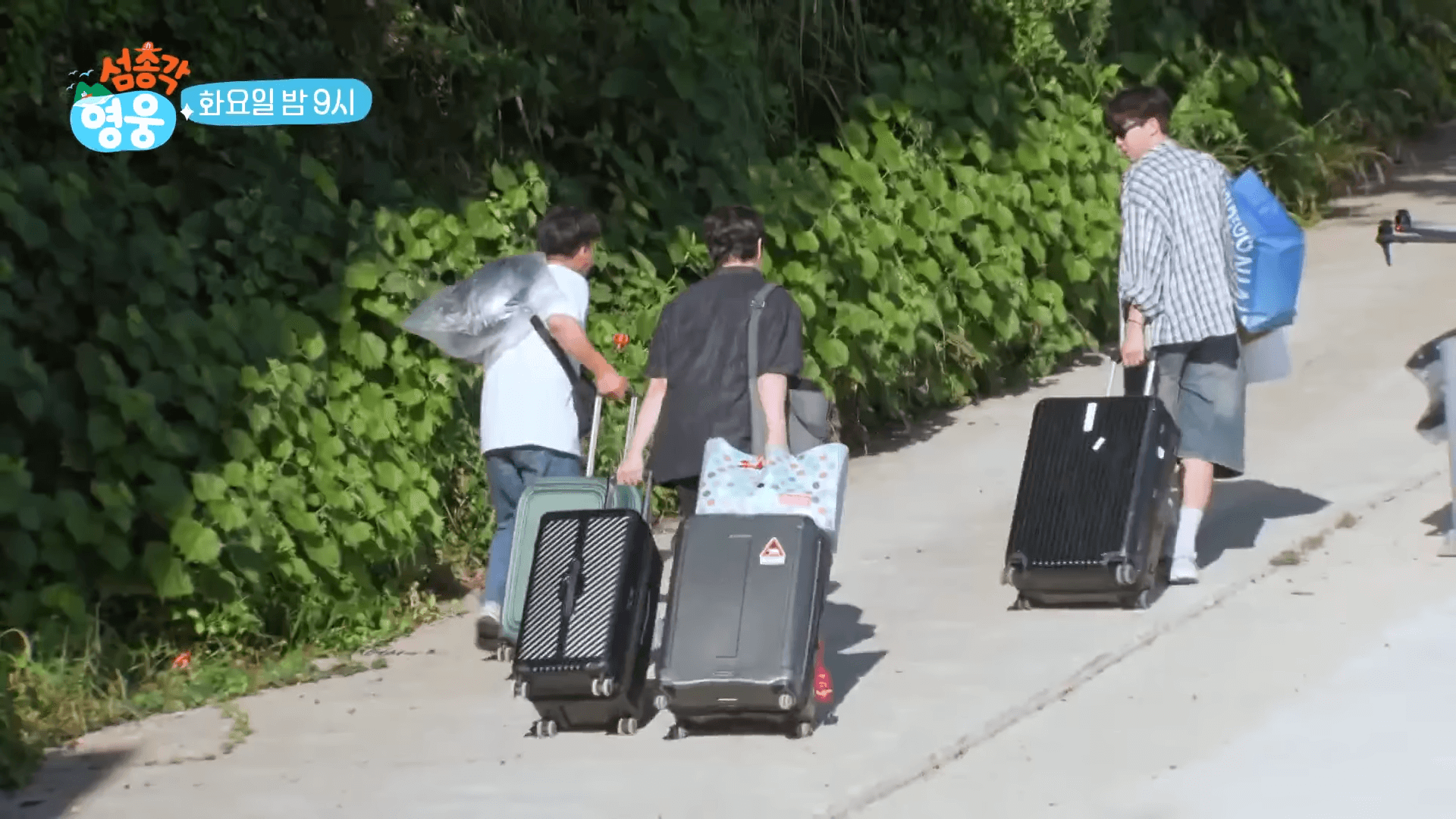 임영웅 섬총각 영웅