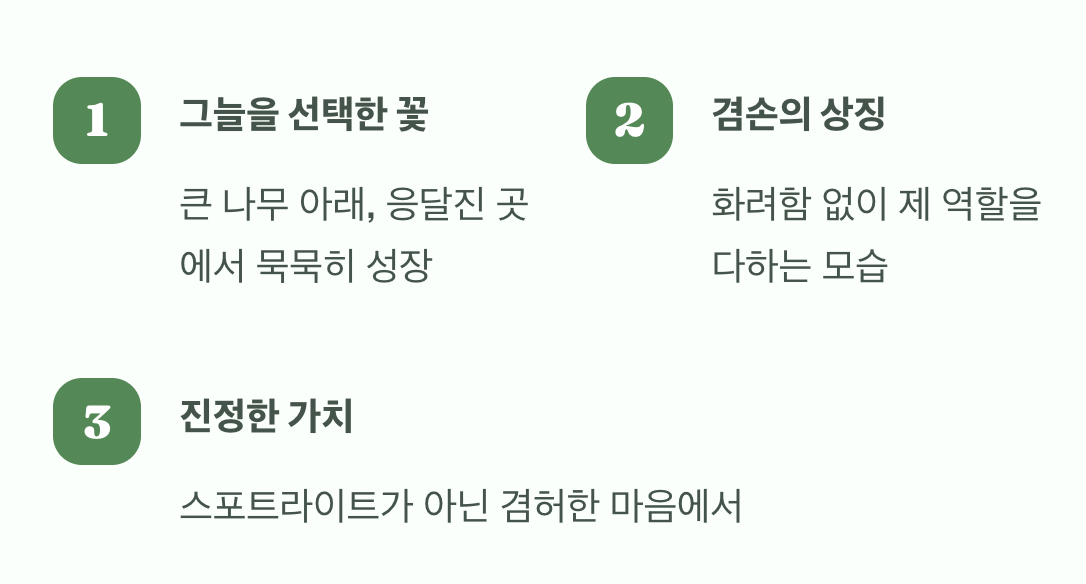 그늘 속 보랏빛 겸손