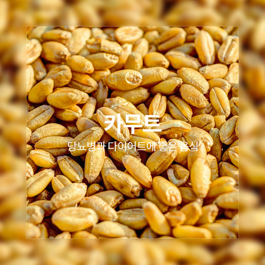 “당뇨병과-다이어트에-좋은-카무트”