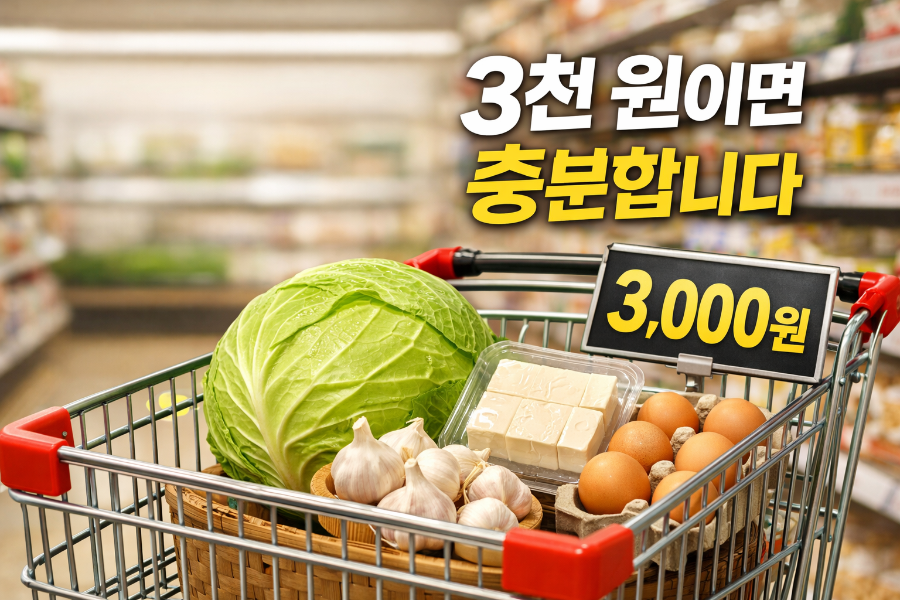 alt="3천 원 장보기 재료로 면역력 식단을 준비하는 모습"