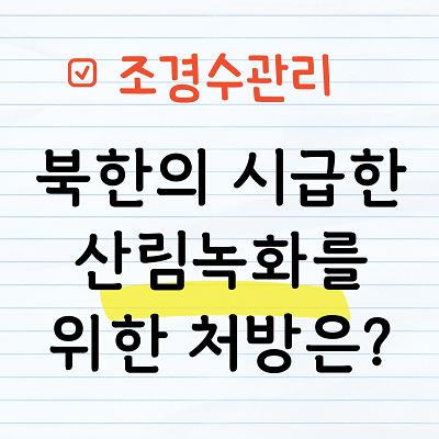 북한의 산림녹화 처방