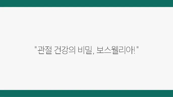 보스웰리아의 효능과 효과 섭취 방법 났용은