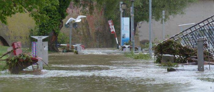 폭우로 인한 거리풍경 이미지