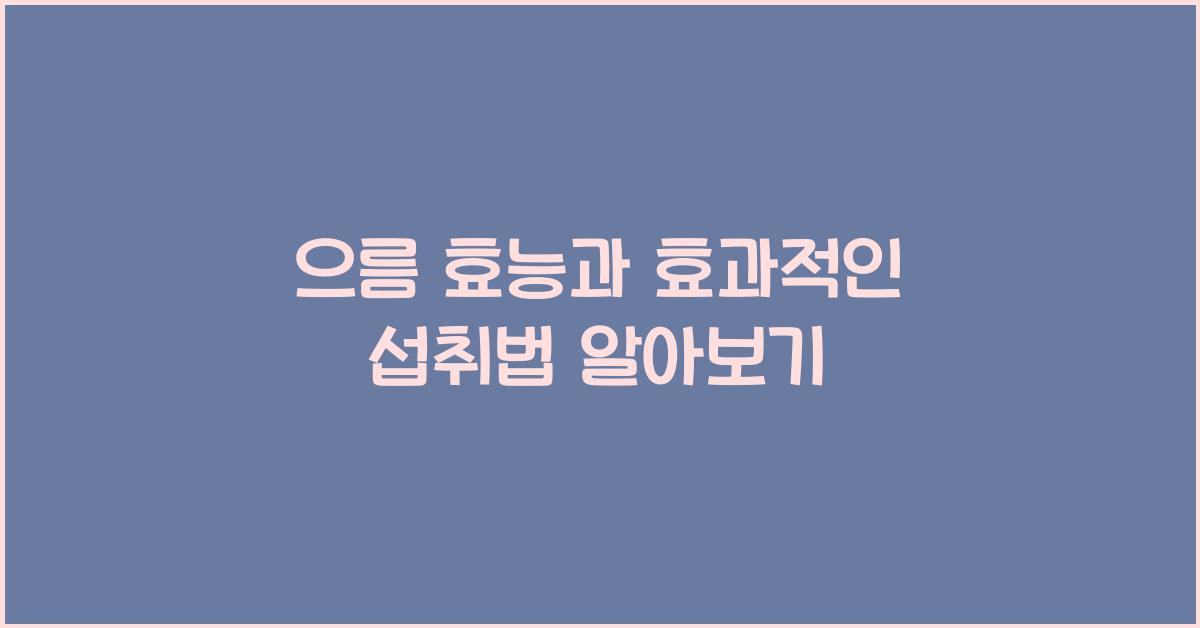 으름 효능