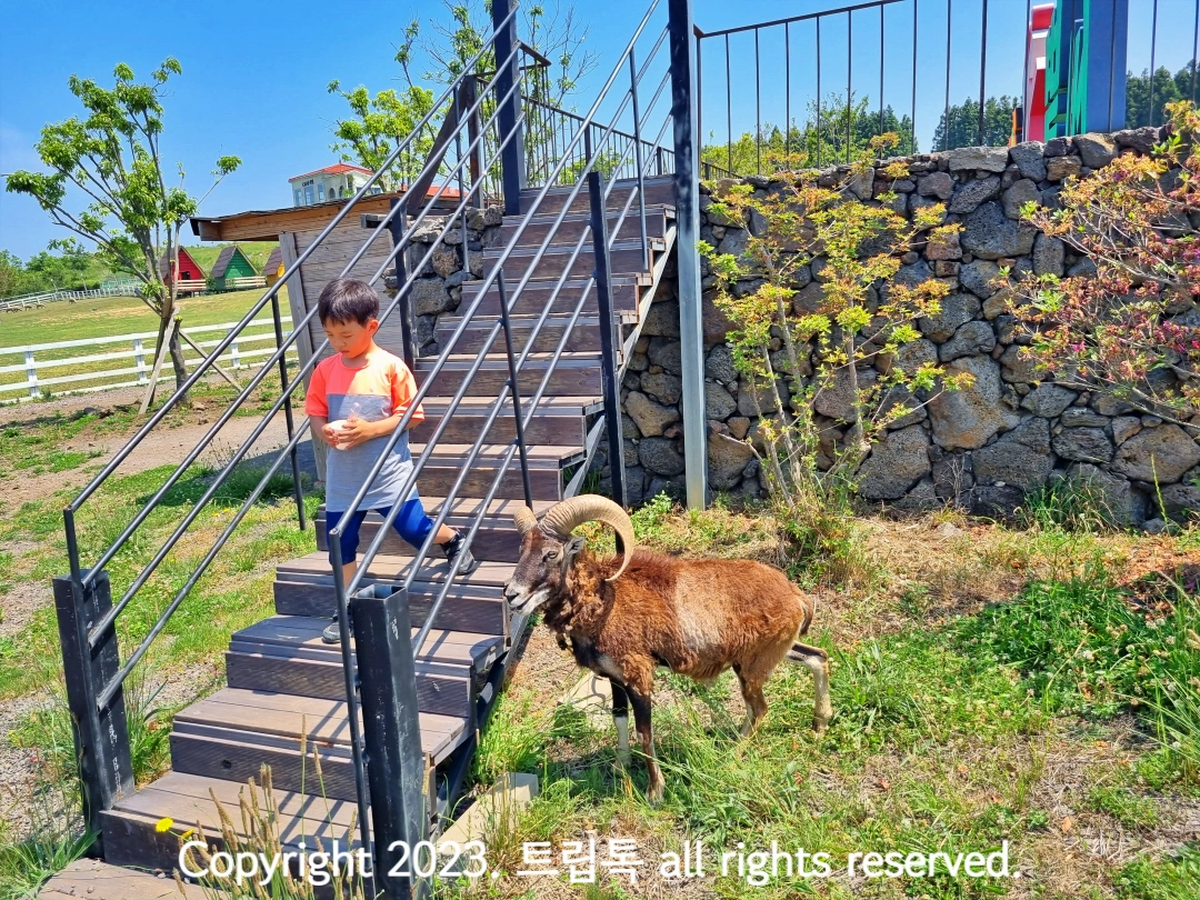 계단을 내려오는 아이 옆에 산양이 있다.