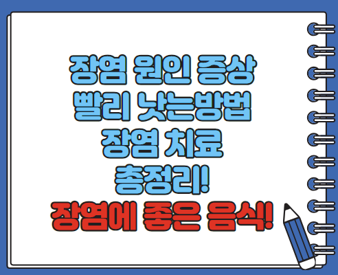 장염 증상 원인 빨리낫는법 장염에 좋은 음식 알아보기(최신)