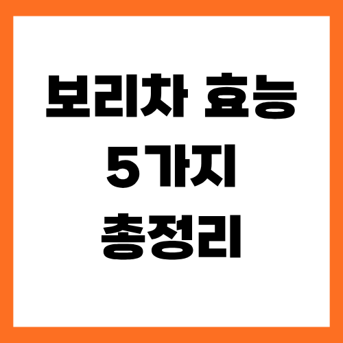 보리차 효능 5가지 총정리