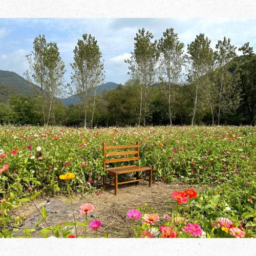 입추 관련 전통 풍습 소개 사진