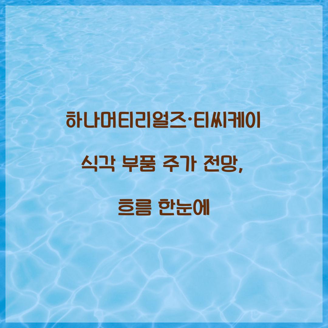 하나머티리얼즈·티씨케이 식각 부품 주가 전망