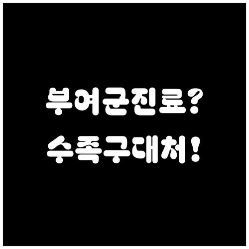 부여군 수족구 병원 진료 가능 곳과 ..