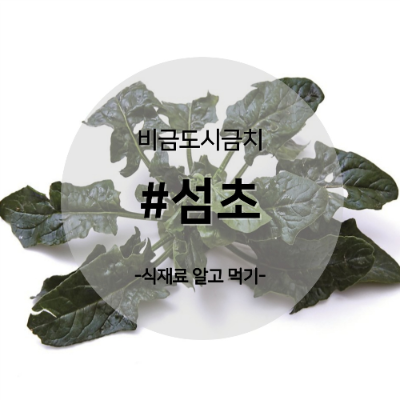 섬초