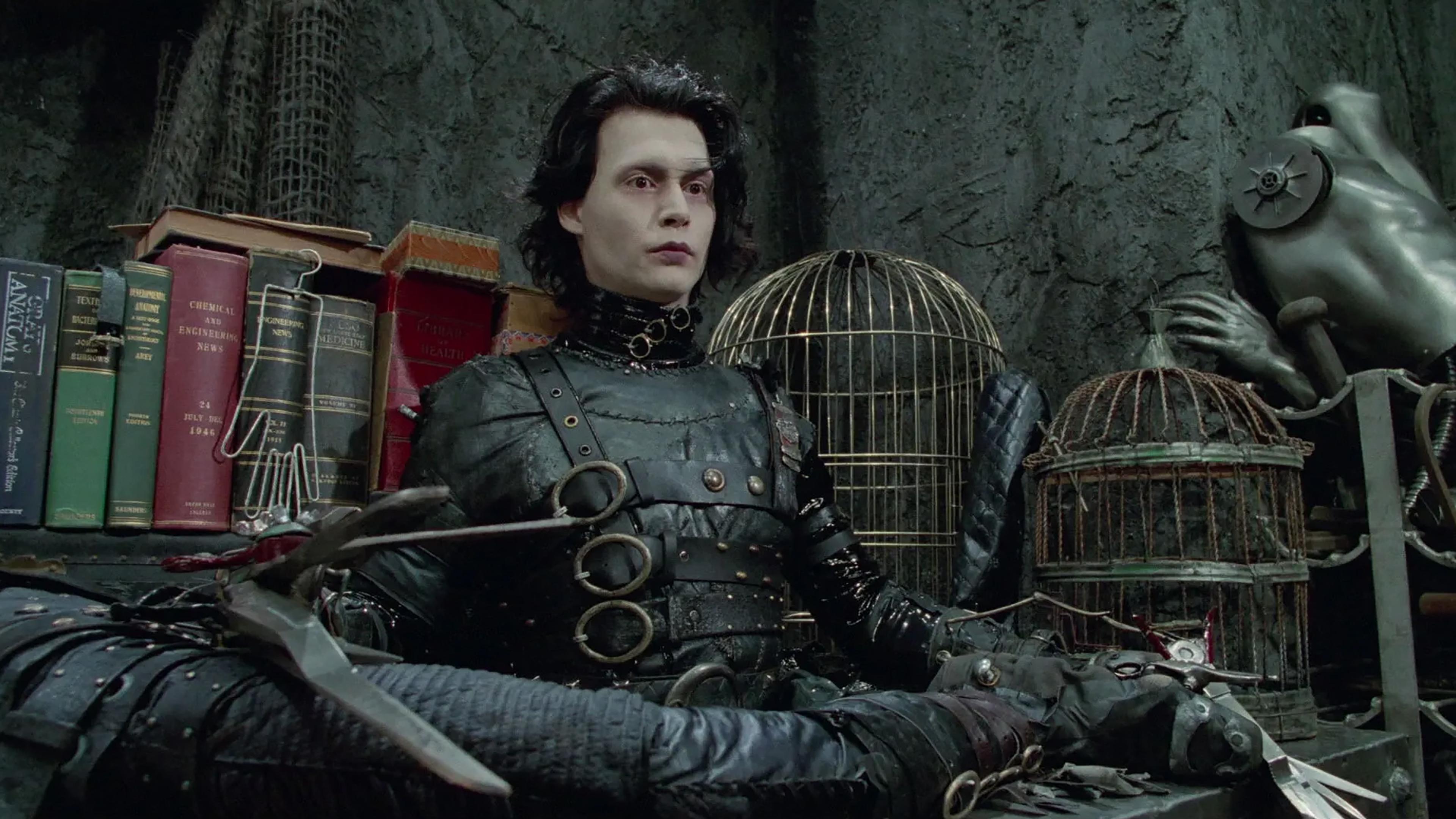 가위손 (Edward Scissorhands, 1990)