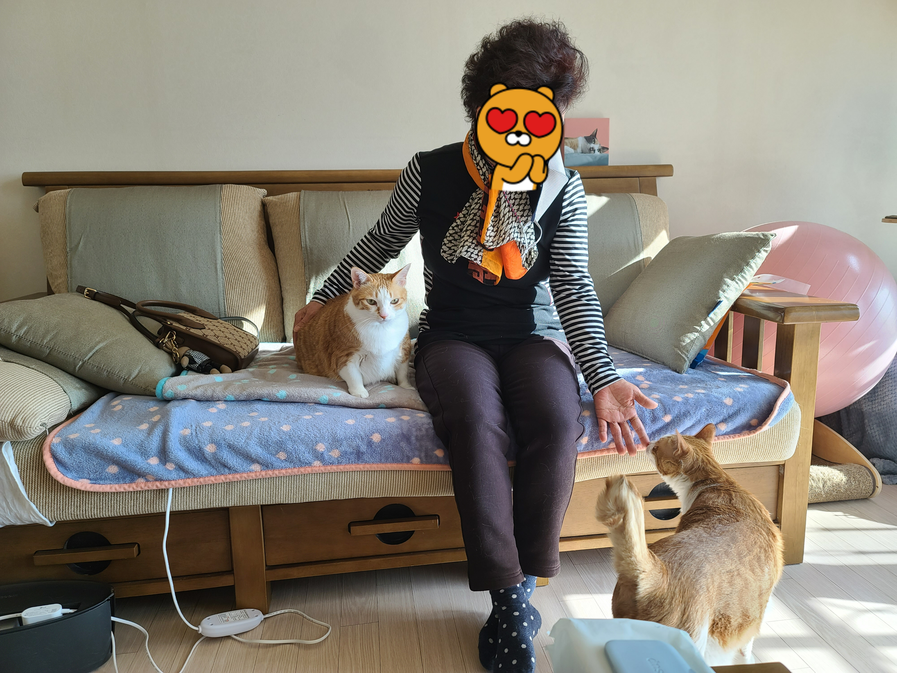 고양이 많아서 우리집 안오신다 했던 친정 엄마..(feat.가족인걸 아는걸까?)