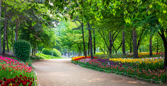 서울숲공원 사진