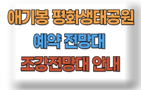 애기봉 평화생태공원 예약 전망대
