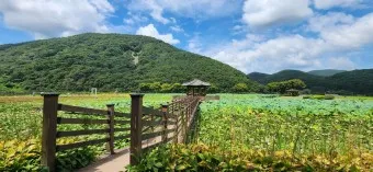 경남 고성 맛집 베스트10 현지인 숨겨진 맛집_25