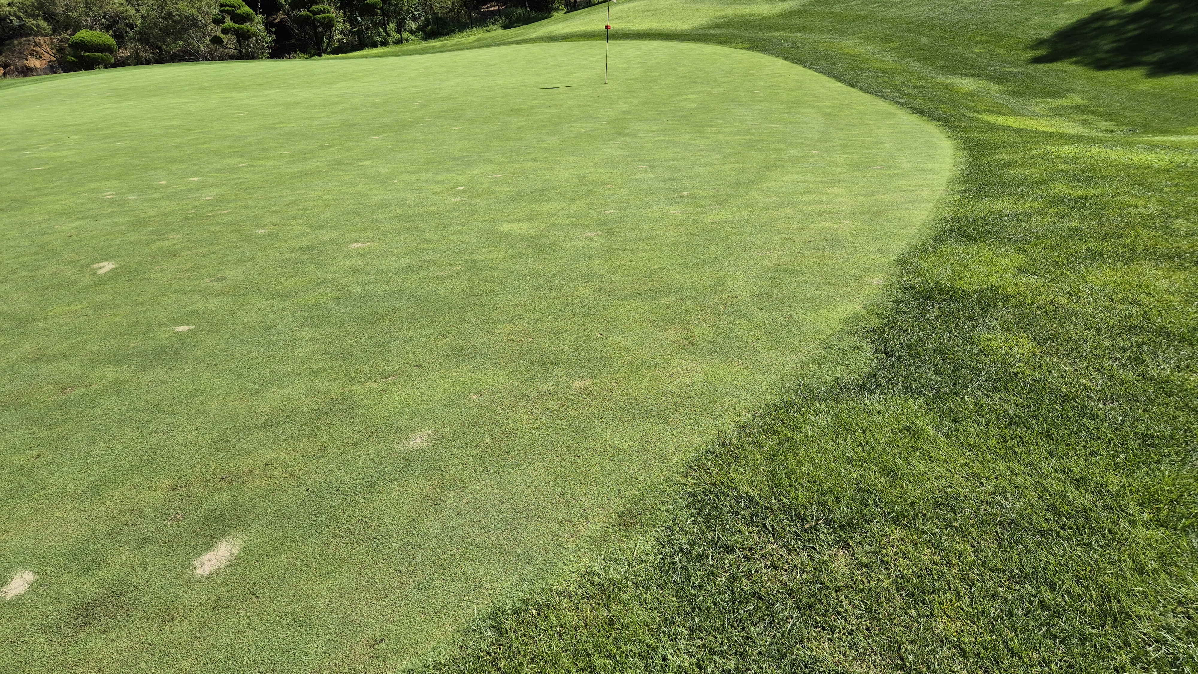 마론cc 라운드 후기