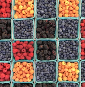 전립선 비대증 증상 치료 수술비용