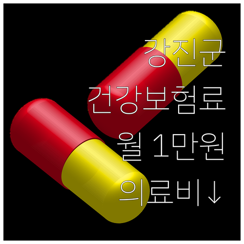 강진군 2025년, 월 1만원 이하 ..