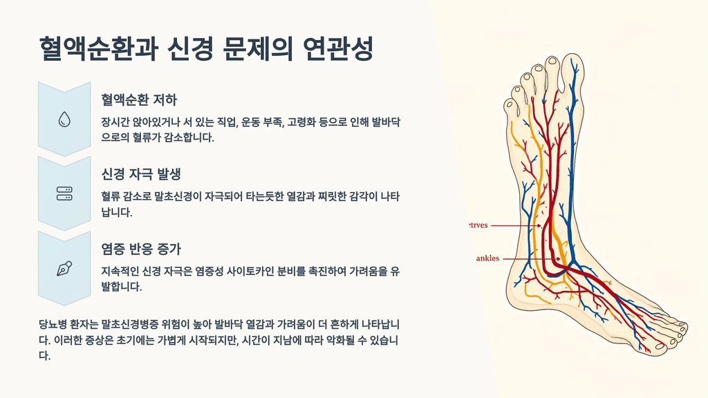 혈액순환과 신경 문제의 연관성