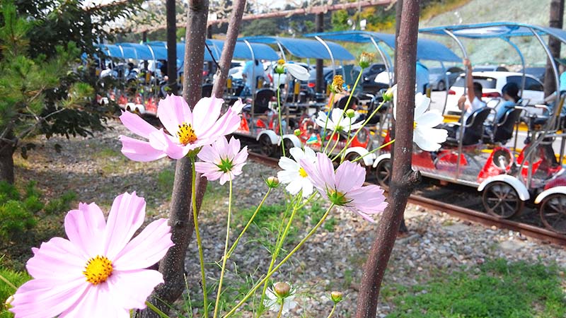 양평 레일바이크(Yangpyeong Rail Bike)