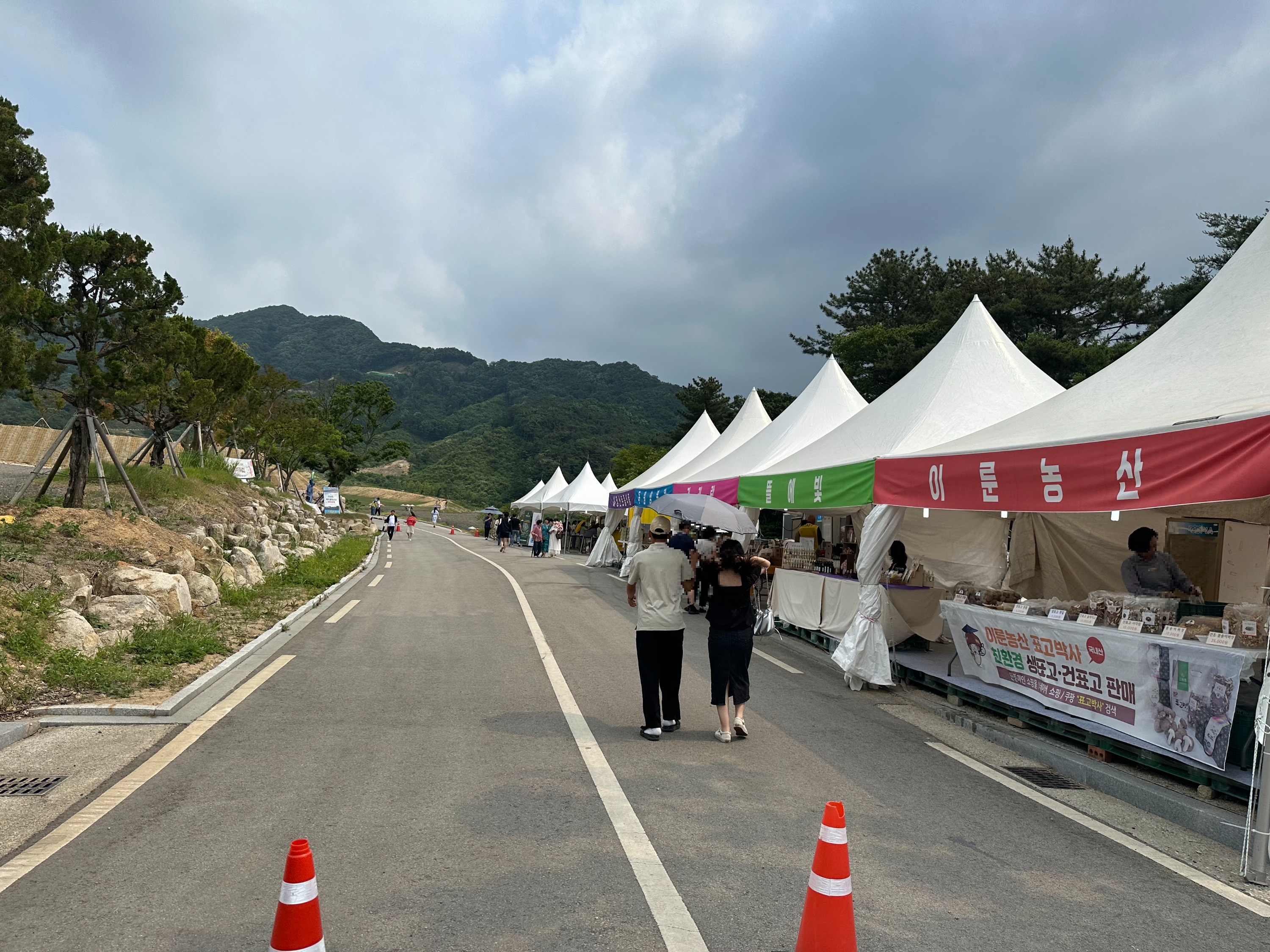 2024 정읍 허브원 라벤더 축제 