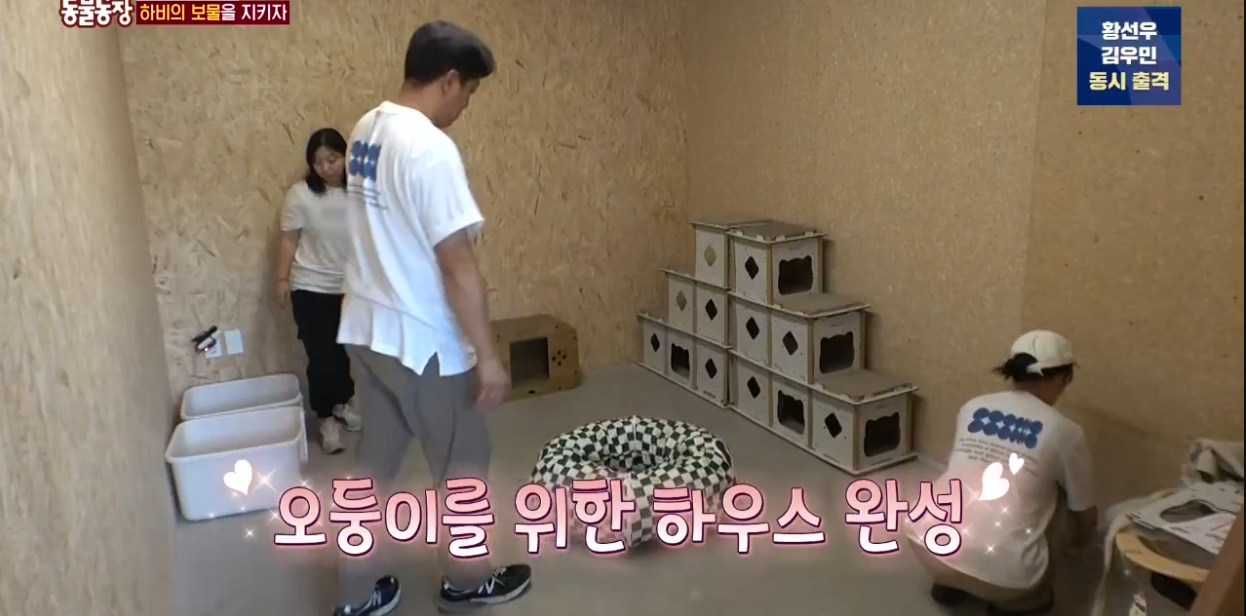 동물농장