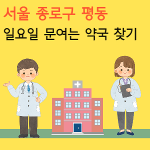 서울 종로구 평동 일요일 문여는 당번 약국