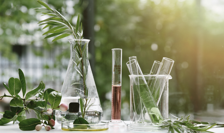 탈모 자연치유 치료법