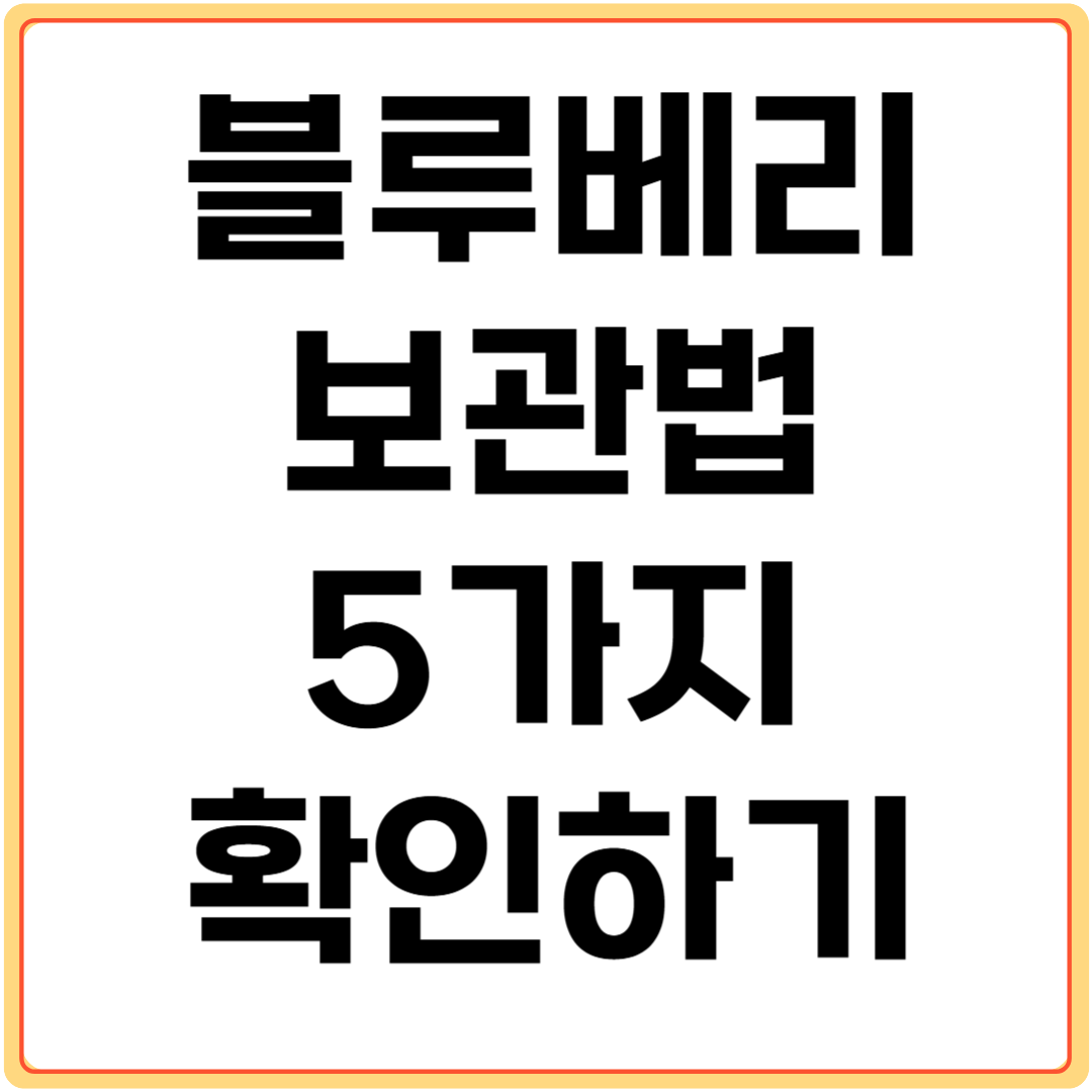 블루베리-보관법-5가지-확인하기
