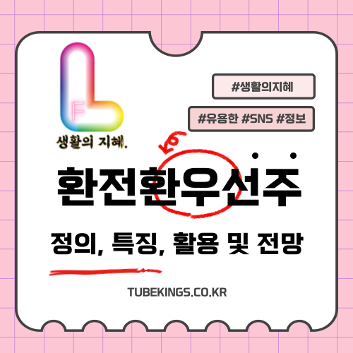 상환전환우선주 정의 특징 활용 및 전망