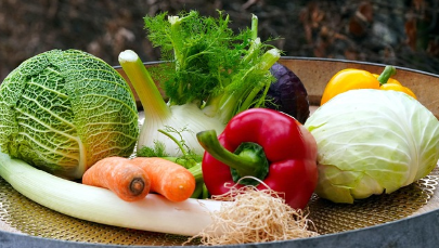 상식의 반전 13: 유기농 채소는 정말 안전한가? 자연과 건강에 대한 새로운 시각