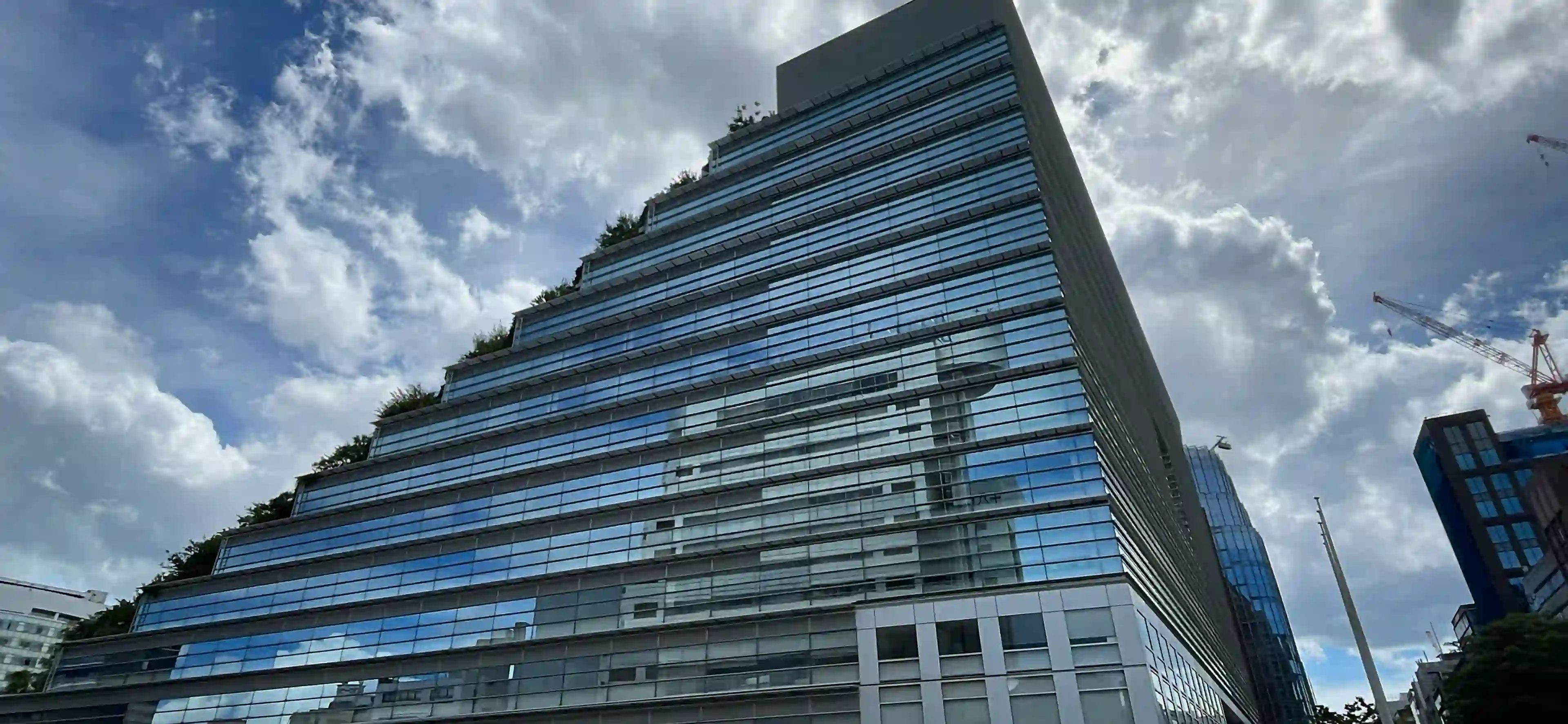 후쿠오카에서만 점포에서는 살 수 없는 음료·조미료 2선