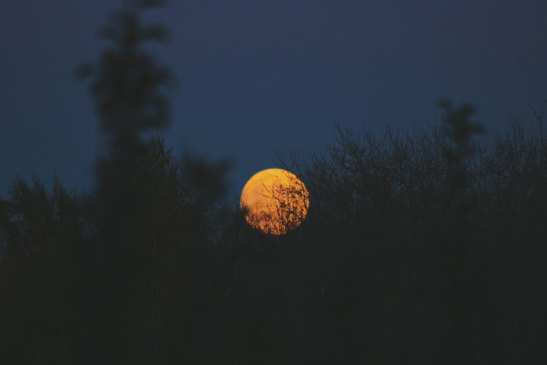 Night