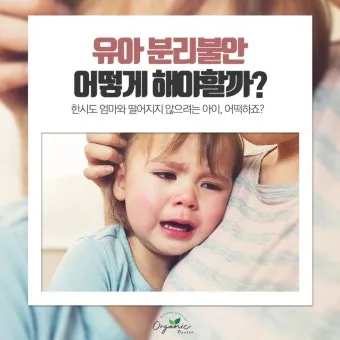 강아지 분리불안 진정 노즈워크 퍼즐 장난감 활용법_19