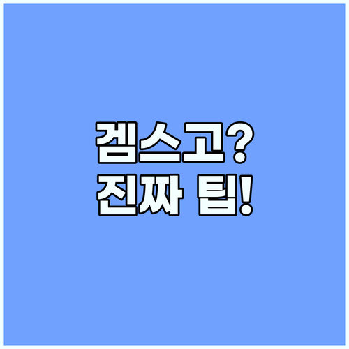 겜스고 후기 검증된 유튜브 프리미엄 ..
