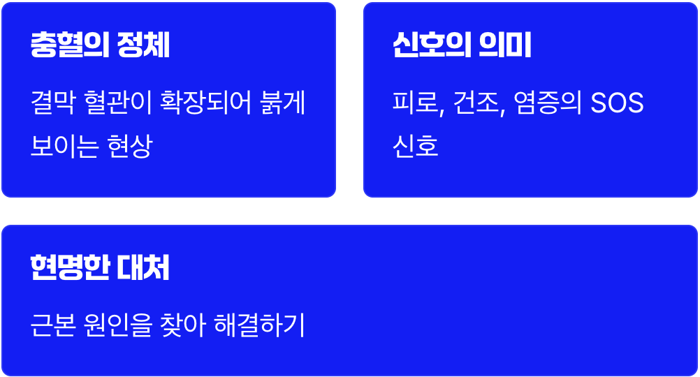 붉은 눈&amp;#44; 혈관이 보내는 SOS 신호