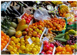 민생회복 소비쿠폰 사용처 및 유의사항 - 제한업종, 사용방법, 사용기한